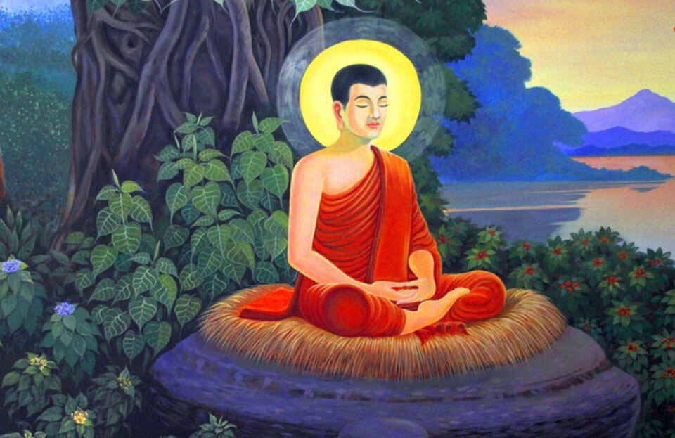 Câu chuyện tiền thân Đức Phật: Chuyện con muỗi