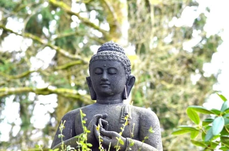Câu chuyện tiền thân Đức Phật: Chuyện chim cun cút