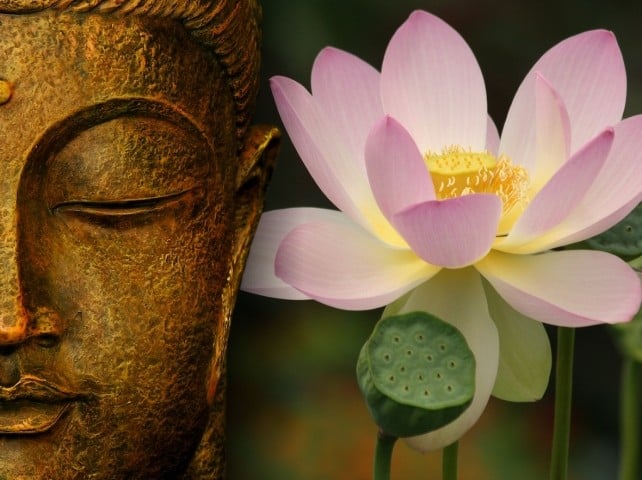 Phật dạy tất cả pháp hữu vi đều là pháp vô thường sanh diệt, thì bản chất của nó là hoại diệt.